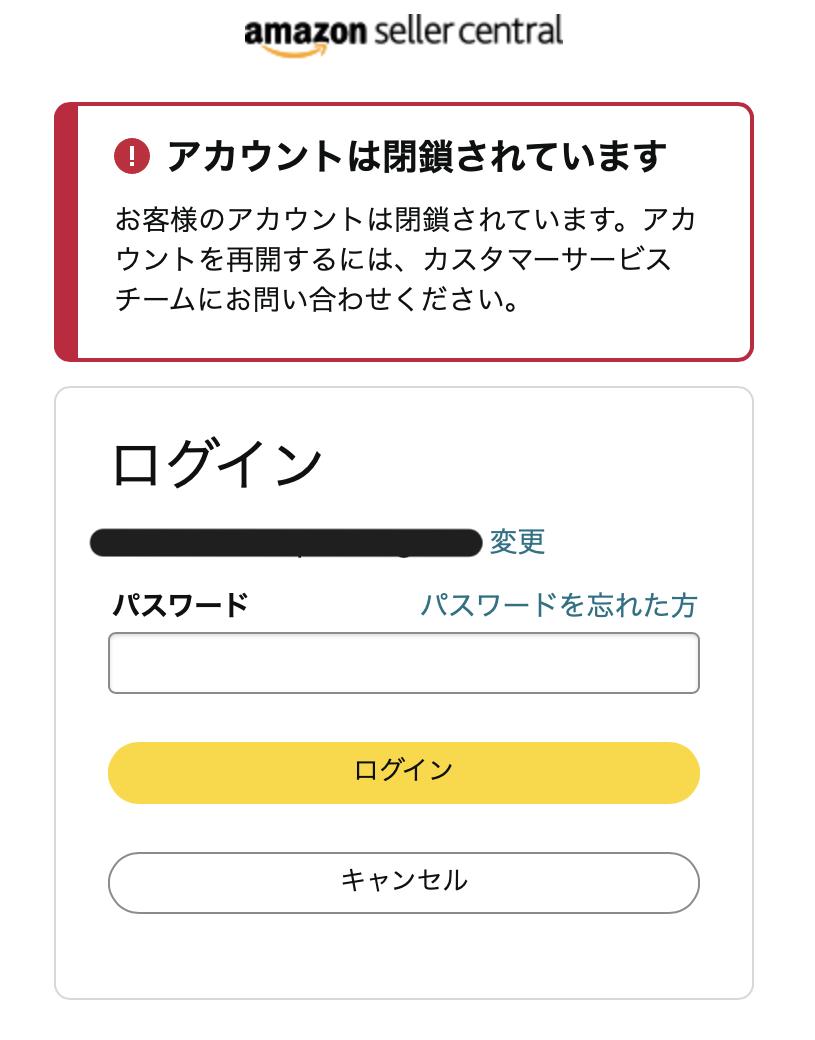 20250210_AmazonSellerCenral_ERROR (1).png