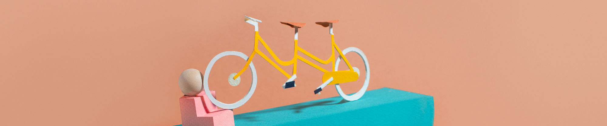 Amazon Pay】Amazon Pay直接契約のセラーセントラルアカウント有効化の作業手順について教えてください。 – makeshop  よくある質問